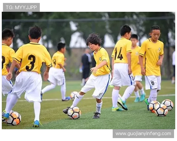 足球明星各自踢的位置分析图表展示及其战术意义解读